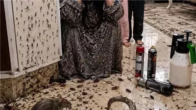 مصيبه في بيتي حكايات زهرة حصري