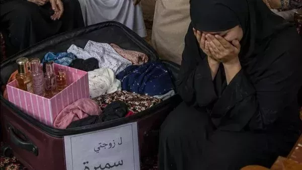 لمحة نيوز