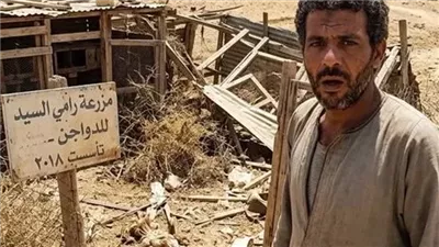حـين عـاد الحـلم للحـياة كـاملة بقلـم منـي السـيد